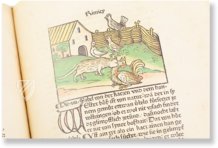 Aesopus - Vita et Fabulae – Edition Libri Illustri – Museum Otto Schäfer (Schweinfurt, Germany)