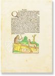 Aesopus - Vita et Fabulae – Edition Libri Illustri – Museum Otto Schäfer (Schweinfurt, Germany)