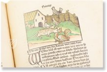 Aesopus - Vita et Fabulae Facsimile Edition