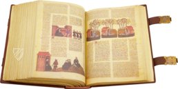 Alba Bible – Facsimile Editions Ltd. – Palacio de Liria (Madrid, Spain)