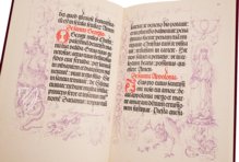 Albrecht Dürers und Lukas Cranachs Randzeichnungen zum Gebetbuche Kaiser Maximilians I in der Bayerischen Staatsbibliothek zu München Facsimile Edition