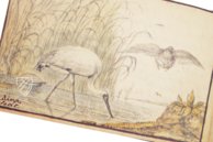 Album Amicorum of Jacob Heyblocq – Waanders Printers – 131 H 26 – Koninklijke Bibliotheek Den Haag (The Hague, Netherlands)