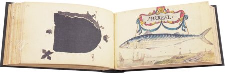 Album Amicorum of Jacob Heyblocq – Waanders Printers – 131 H 26 – Koninklijke Bibliotheek (The Hague, Netherlands)