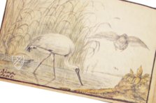 Album Amicorum of Jacob Heyblocq – Waanders Printers – 131 H 26 – Koninklijke Bibliotheek (The Hague, Netherlands)