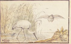 Album Amicorum of Jacob Heyblocq – Waanders Printers – 131 H 26 – Koninklijke Bibliotheek (The Hague, Netherlands)