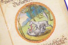 Alchemical Didactic Poem from 1556 –  – Ms P 2177 – Zentralbibliothek Zürich (Zürich, Switzerland)
