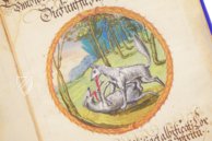Alchemical Didactic Poem from 1556 –  – Ms P 2177 – Zentralbibliothek Zürich (Zürich, Switzerland)