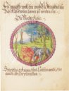 Alchemical Didactic Poem from 1556 –  – Ms P 2177 – Zentralbibliothek Zürich (Zürich, Switzerland)