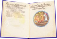 Alchemical Didactic Poem from 1556 –  – Ms P 2177 – Zentralbibliothek Zürich (Zürich, Switzerland)