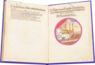 Alchemical Didactic Poem from 1556 –  – Ms P 2177 – Zentralbibliothek Zürich (Zürich, Switzerland)