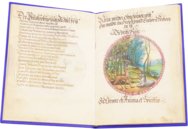 Alchemical Didactic Poem from 1556 –  – Ms P 2177 – Zentralbibliothek Zürich (Zürich, Switzerland)