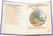 Alchemical Didactic Poem from 1556 –  – Ms P 2177 – Zentralbibliothek Zürich (Zürich, Switzerland)