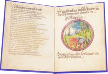 Alchemical Didactic Poem from 1556 –  – Ms P 2177 – Zentralbibliothek Zürich (Zürich, Switzerland)