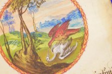 Alchemical Didactic Poem from 1556 –  – Ms P 2177 – Zentralbibliothek Zürich (Zürich, Switzerland)