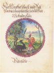 Alchemical Didactic Poem from 1556 –  – Ms P 2177 – Zentralbibliothek Zürich (Zürich, Switzerland)