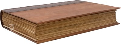 Ambrosian Virgil of Francesco Petrarca – Hoepli – S.P. 10/27 – Veneranda Biblioteca Ambrosiana (Milan, Italy)