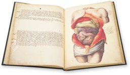 Anatomia depicta – Biblioteca Nazionale Centrale di Firenze (Florence, Italy) Facsimile Edition