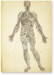 Anatomia depicta – Biblioteca Nazionale Centrale di Firenze (Florence, Italy) Facsimile Edition
