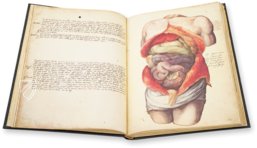 Anatomia depicta – Istituto dell'Enciclopedia Italiana - Treccani – Nuove Accessioni 329 (Grandi Formati 64) – Biblioteca Nazionale Centrale di Firenze (Florence, Italy)