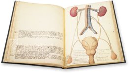 Anatomia depicta – Istituto dell'Enciclopedia Italiana - Treccani – Nuove Accessioni 329 (Grandi Formati 64) – Biblioteca Nazionale Centrale di Firenze (Florence, Italy)