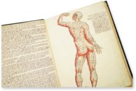 Anatomia depicta – Istituto dell'Enciclopedia Italiana - Treccani – Nuove Accessioni 329 (Grandi Formati 64) – Biblioteca Nazionale Centrale di Firenze (Florence, Italy)