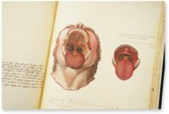 Anatomia depicta – Istituto dell'Enciclopedia Italiana - Treccani – Nuove Accessioni 329 (Grandi Formati 64) – Biblioteca Nazionale Centrale di Firenze (Florence, Italy)