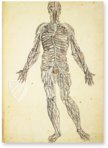 Anatomia depicta – Istituto dell'Enciclopedia Italiana - Treccani – Nuove Accessioni 329 (Grandi Formati 64) – Biblioteca Nazionale Centrale di Firenze (Florence, Italy)