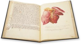 Anatomy Depicted – Istituto dell'Enciclopedia Italiana - Treccani – Nuove Accessioni 329 (Grandi Formati 64) – Biblioteca Nazionale Centrale di Firenze (Florence, Italy)