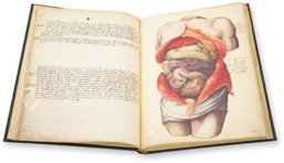 Anatomy Depicted – Istituto dell'Enciclopedia Italiana - Treccani – Nuove Accessioni 329 (Grandi Formati 64) – Biblioteca Nazionale Centrale di Firenze (Florence, Italy)