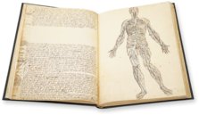 Anatomy Depicted – Istituto dell'Enciclopedia Italiana - Treccani – Nuove Accessioni 329 (Grandi Formati 64) – Biblioteca Nazionale Centrale di Firenze (Florence, Italy)