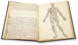 Anatomy Depicted – Istituto dell'Enciclopedia Italiana - Treccani – Nuove Accessioni 329 (Grandi Formati 64) – Biblioteca Nazionale Centrale di Firenze (Florence, Italy)