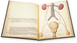 Anatomy Depicted – Istituto dell'Enciclopedia Italiana - Treccani – Nuove Accessioni 329 (Grandi Formati 64) – Biblioteca Nazionale Centrale di Firenze (Florence, Italy)