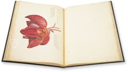 Anatomy Depicted – Istituto dell'Enciclopedia Italiana - Treccani – Nuove Accessioni 329 (Grandi Formati 64) – Biblioteca Nazionale Centrale di Firenze (Florence, Italy)