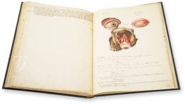 Anatomy Depicted – Istituto dell'Enciclopedia Italiana - Treccani – Nuove Accessioni 329 (Grandi Formati 64) – Biblioteca Nazionale Centrale di Firenze (Florence, Italy)