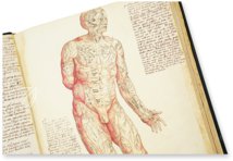 Anatomy Depicted – Istituto dell'Enciclopedia Italiana - Treccani – Nuove Accessioni 329 (Grandi Formati 64) – Biblioteca Nazionale Centrale di Firenze (Florence, Italy)