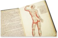 Anatomy Depicted – Istituto dell'Enciclopedia Italiana - Treccani – Nuove Accessioni 329 (Grandi Formati 64) – Biblioteca Nazionale Centrale di Firenze (Florence, Italy)
