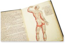 Anatomy Depicted – Istituto dell'Enciclopedia Italiana - Treccani – Nuove Accessioni 329 (Grandi Formati 64) – Biblioteca Nazionale Centrale di Firenze (Florence, Italy)