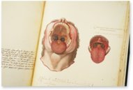 Anatomy Depicted – Istituto dell'Enciclopedia Italiana - Treccani – Nuove Accessioni 329 (Grandi Formati 64) – Biblioteca Nazionale Centrale di Firenze (Florence, Italy)