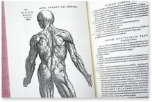 Andreas Vesalius: De Humani Corporis Fabrica Facsimile Edition