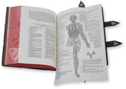 Andreas Vesalius: De Humani Corporis Fabrica – Pytheas Books – 548.i.2.(1) – British Library (London, United Kingdom)