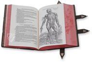 Andreas Vesalius: De Humani Corporis Fabrica – Pytheas Books – 548.i.2.(1) – British Library (London, United Kingdom)