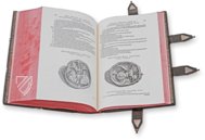 Andreas Vesalius: De Humani Corporis Fabrica – Pytheas Books – 548.i.2.(1) – British Library (London, United Kingdom)