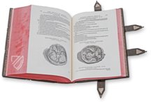 Andreas Vesalius: De Humani Corporis Fabrica – Pytheas Books – 548.i.2.(1) – British Library (London, United Kingdom)