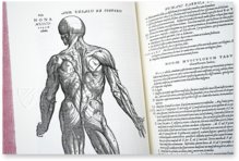 Andreas Vesalius: De Humani Corporis Fabrica – Pytheas Books – 548.i.2.(1) – British Library (London, United Kingdom)