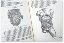 Andreas Vesalius: De Humani Corporis Fabrica – Pytheas Books – 548.i.2.(1) – British Library (London, United Kingdom)