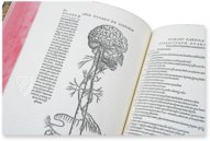 Andreas Vesalius: De Humani Corporis Fabrica – Pytheas Books – 548.i.2.(1) – British Library (London, United Kingdom)