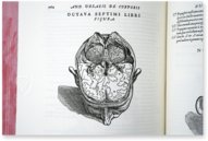 Andreas Vesalius: De Humani Corporis Fabrica – Pytheas Books – 548.i.2.(1) – British Library (London, United Kingdom)