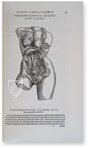 Andreas Vesalius: De Humani Corporis Fabrica – Pytheas Books – 548.i.2.(1) – British Library (London, United Kingdom)