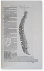 Andreas Vesalius: De Humani Corporis Fabrica – Pytheas Books – 548.i.2.(1) – British Library (London, United Kingdom)