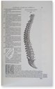 Andreas Vesalius: De Humani Corporis Fabrica – Pytheas Books – 548.i.2.(1) – British Library (London, United Kingdom)